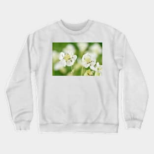 Silene maritima  Sea campion Crewneck Sweatshirt